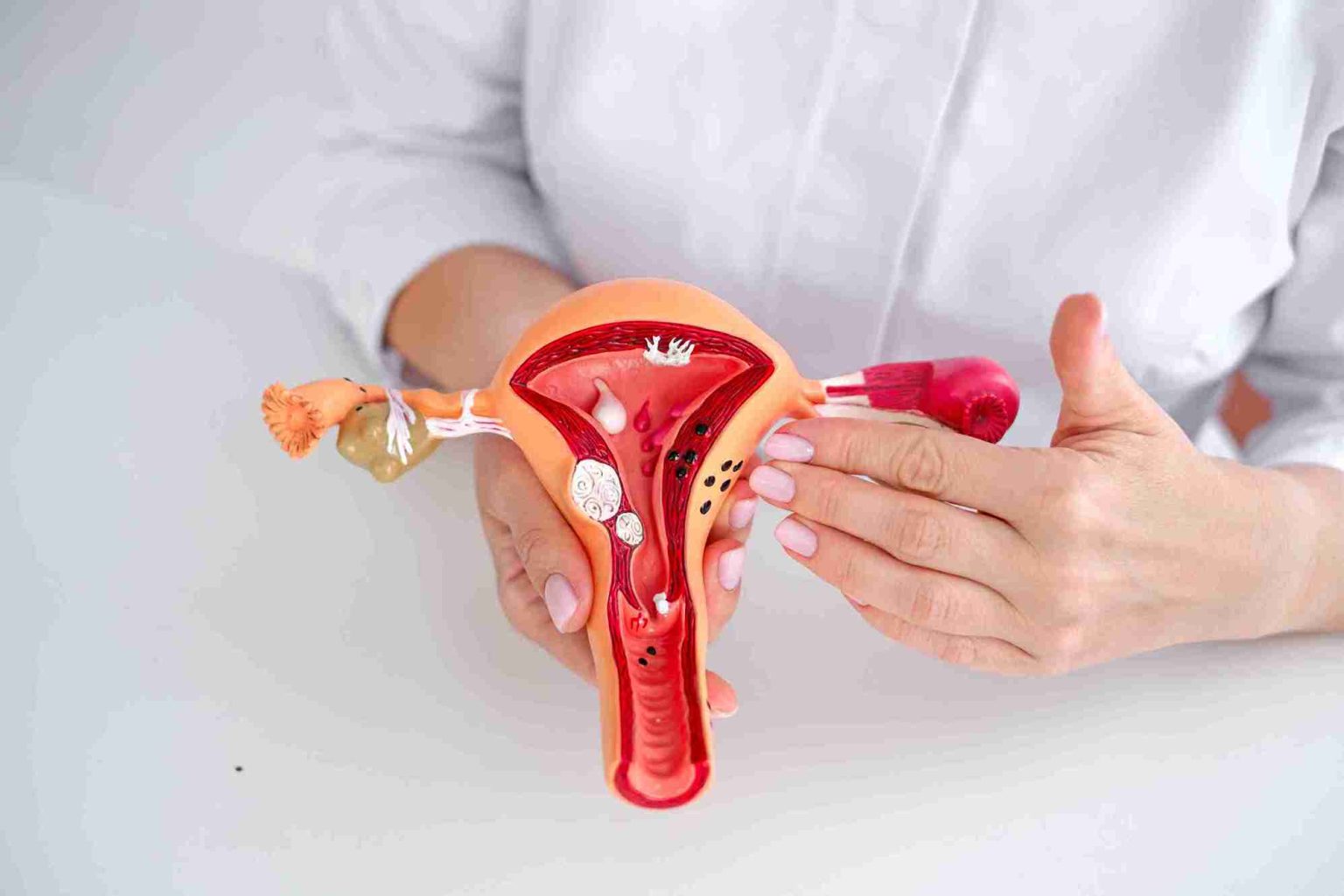 Menstrual Health